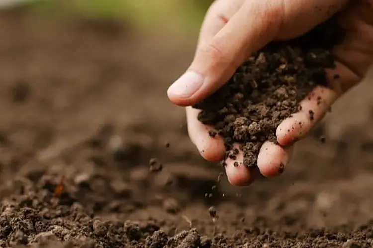 DRY EARTH: Wangaratta and district soils have seen less than 3mms of rainfall so far this October.
