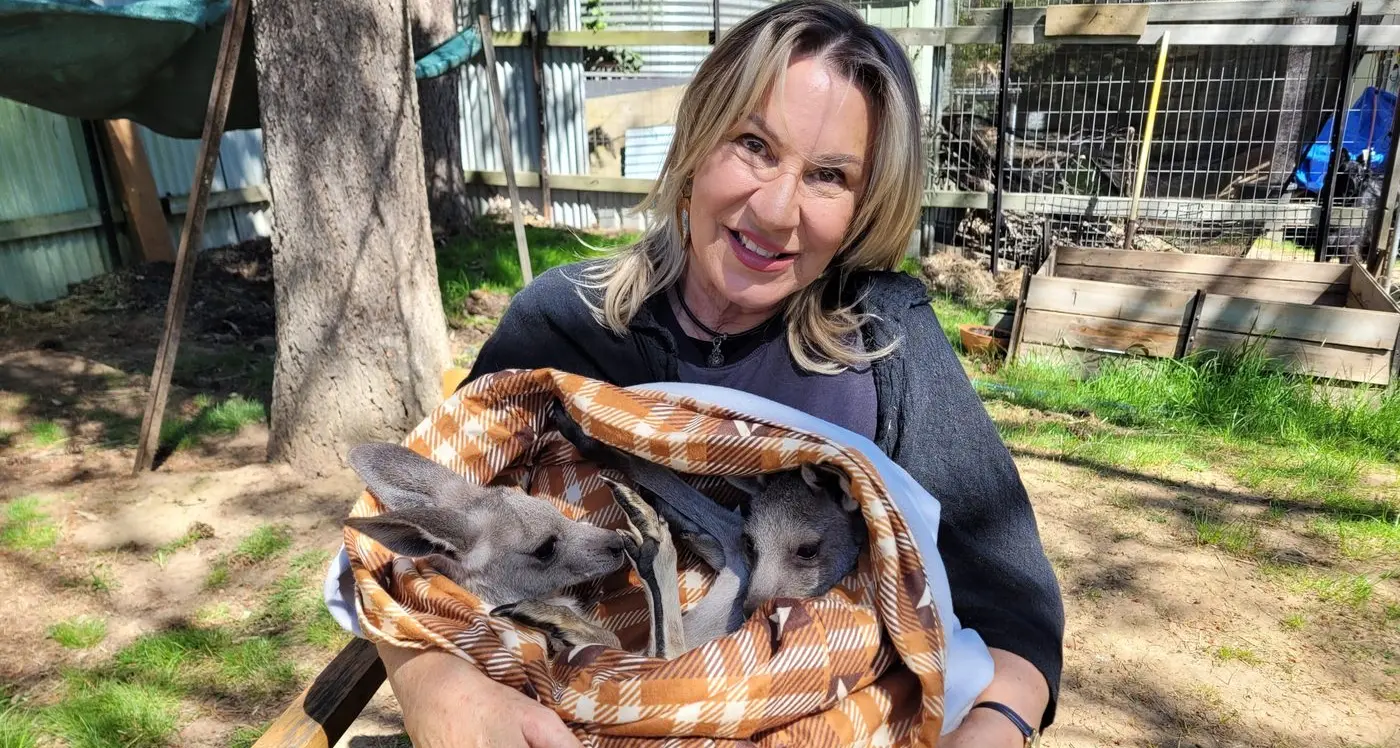 Funding boost for wildlife shelters