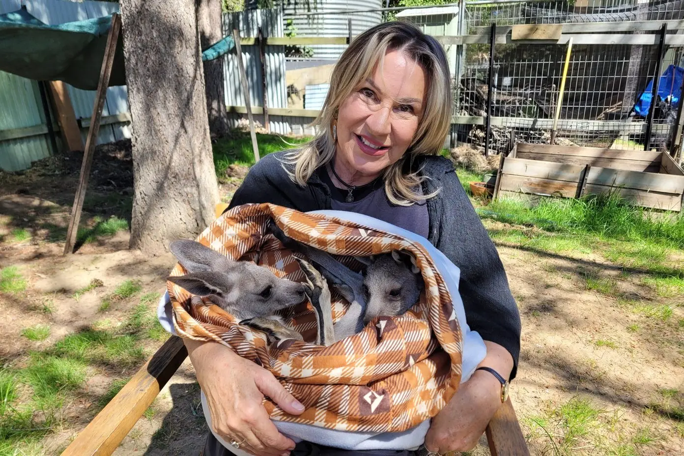 DEDICATED: Beechworth Wildlife Shelter\\u2019s Sue Hiatt with two seven-month-old orphaned joeys in good care. PHOTOS: Coral Cooksley