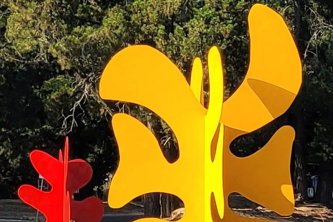 BRIGHT: Colourful sculptures by artist Stephen Coburn placed at Lake Sambell in last year\\u2019s inaugural Beechworth Biennale. PHOTO: Coral Cooksley