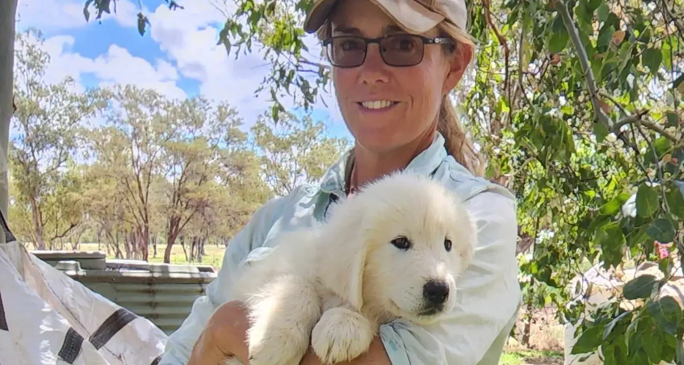 National forum puts spotlight on livestock guardian animals in wild dog and dingo control