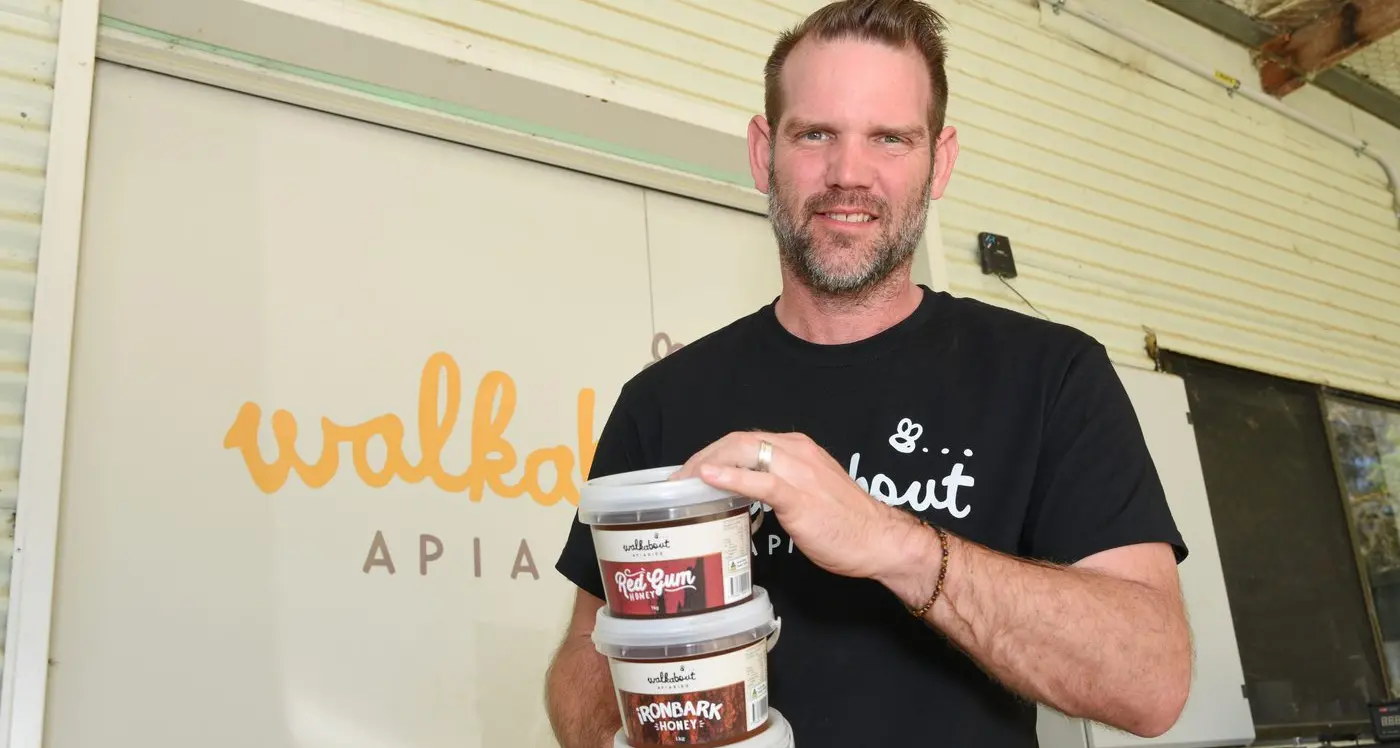 Honeybees being kept busy pollinating orchards