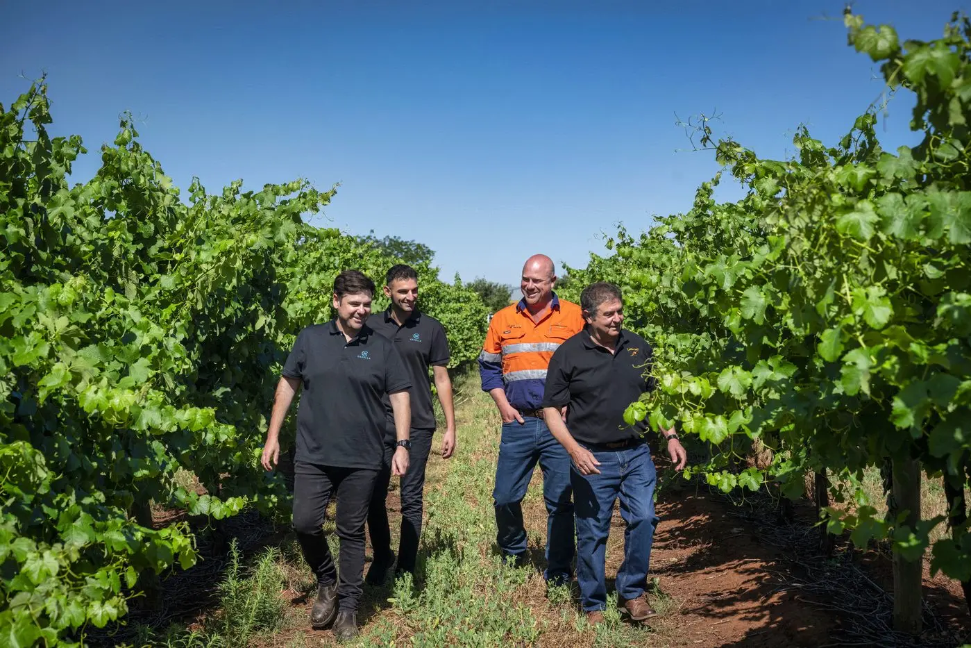 SIGNIFICANT STEP: CFB-owned Riverina, Barossa, Rutherglen and Glenrowan wineries are now certified by Sustainable Winegrowing Australia, according to (from left) Nicholas Schirripa, Joey Sergi, Chris Molineaux and John Casella, from Casella Family Brands. PHOTO: CFB