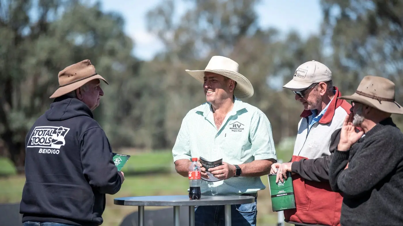 Outcross sires and proven performers on offer at Riddellvue