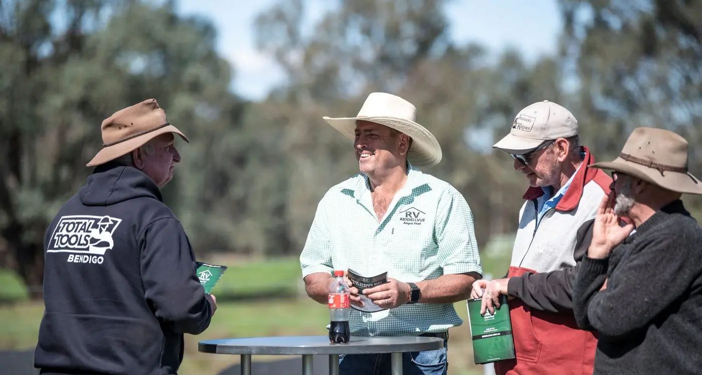 Outcross sires and proven performers on offer at Riddellvue