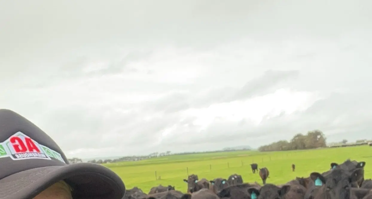 DDF tops $500,000 in support for south-west farming