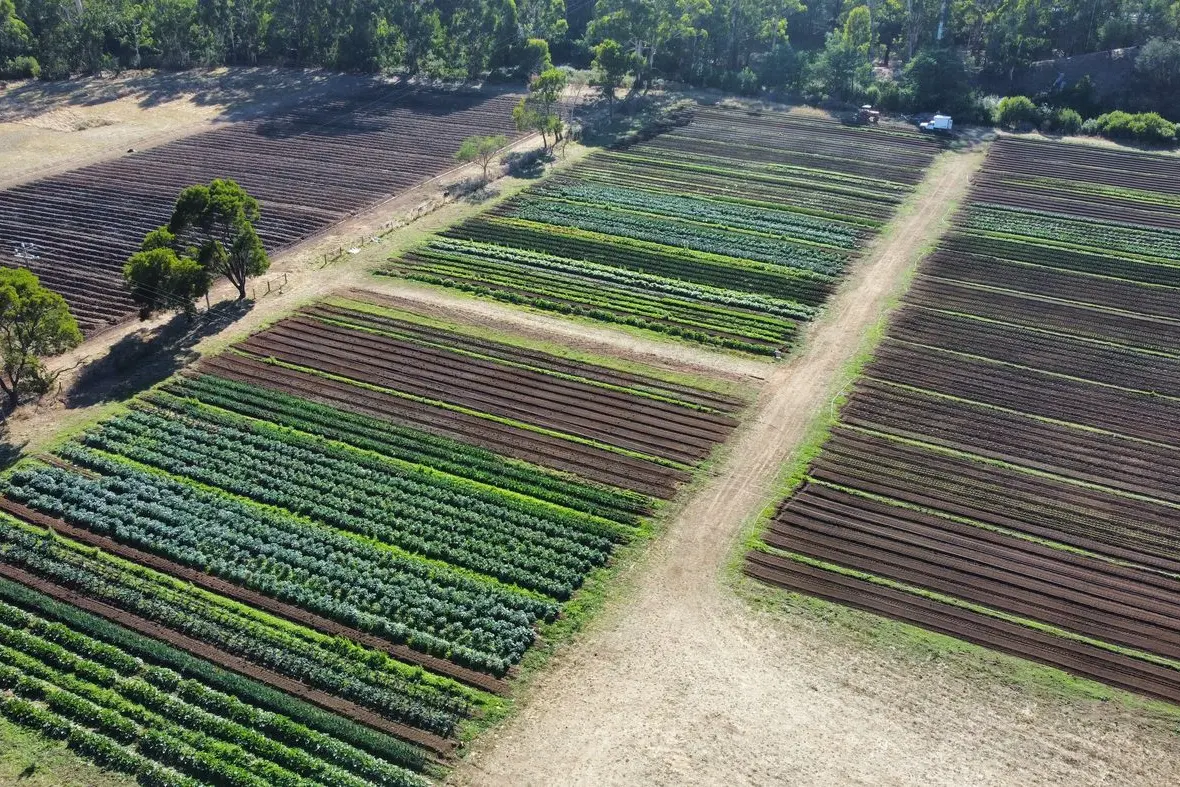 HAPPIER TIMES: The Kinglake property lost the majority of their crops, with the above beds decimated after a deer incursion.