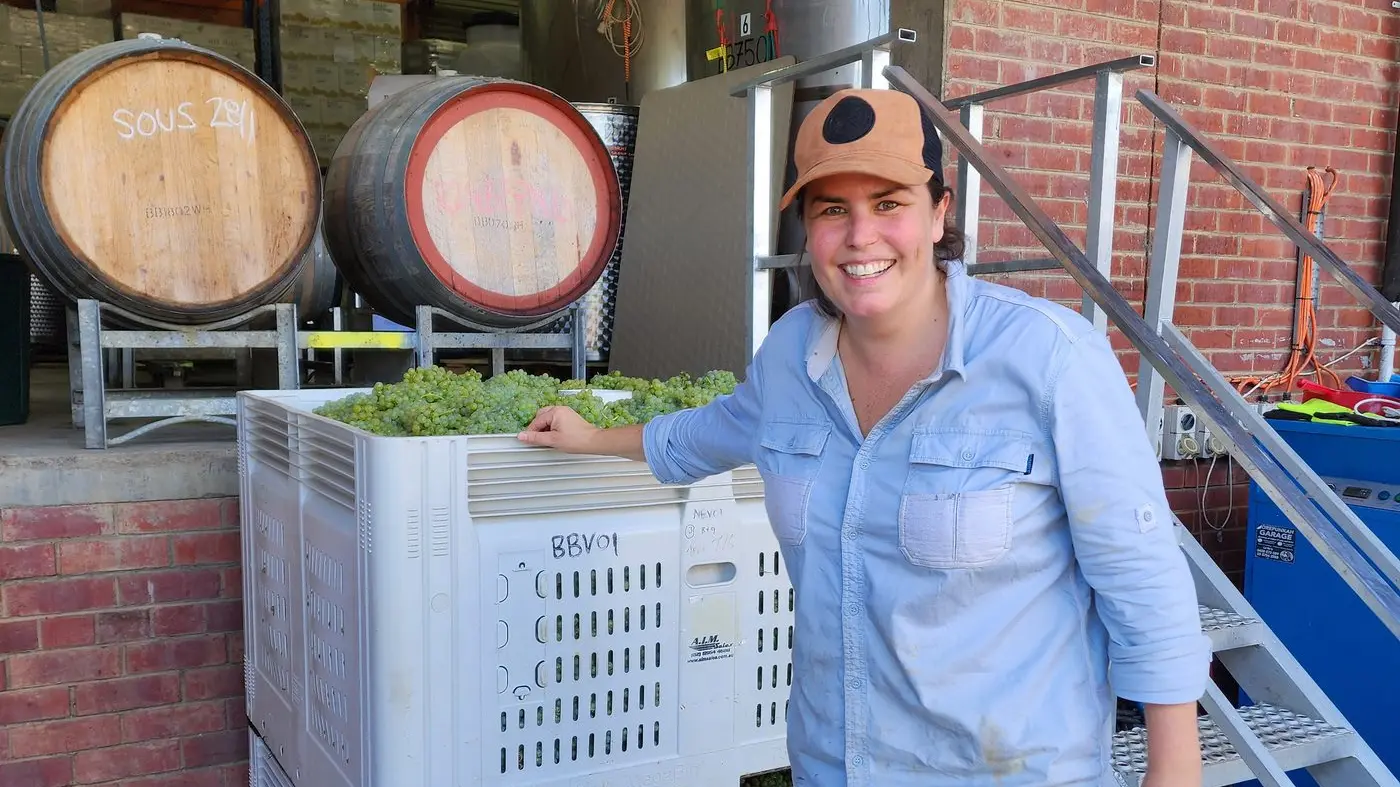 Alpine Valleys' winegrape crush up on volume, value