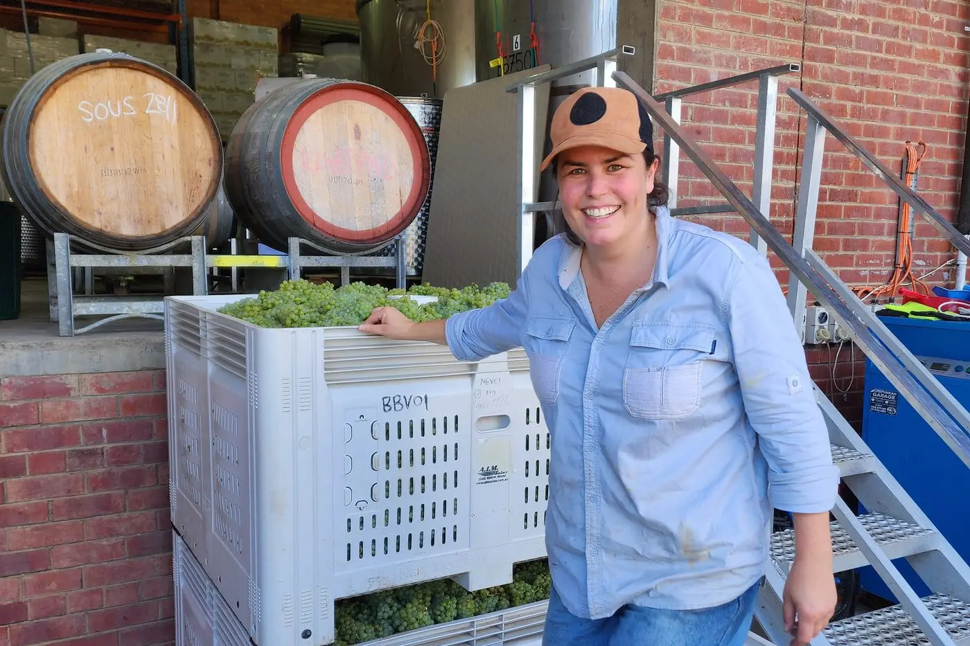 BIG CRUSH: Meg Wallace, a winemaker at Billy Buttons Wines, was among those helping produce the goods for the Alpine Valleys\\' 2025 harvest. PHOTO: Bridget Phillips, Billy Buttons Wines
