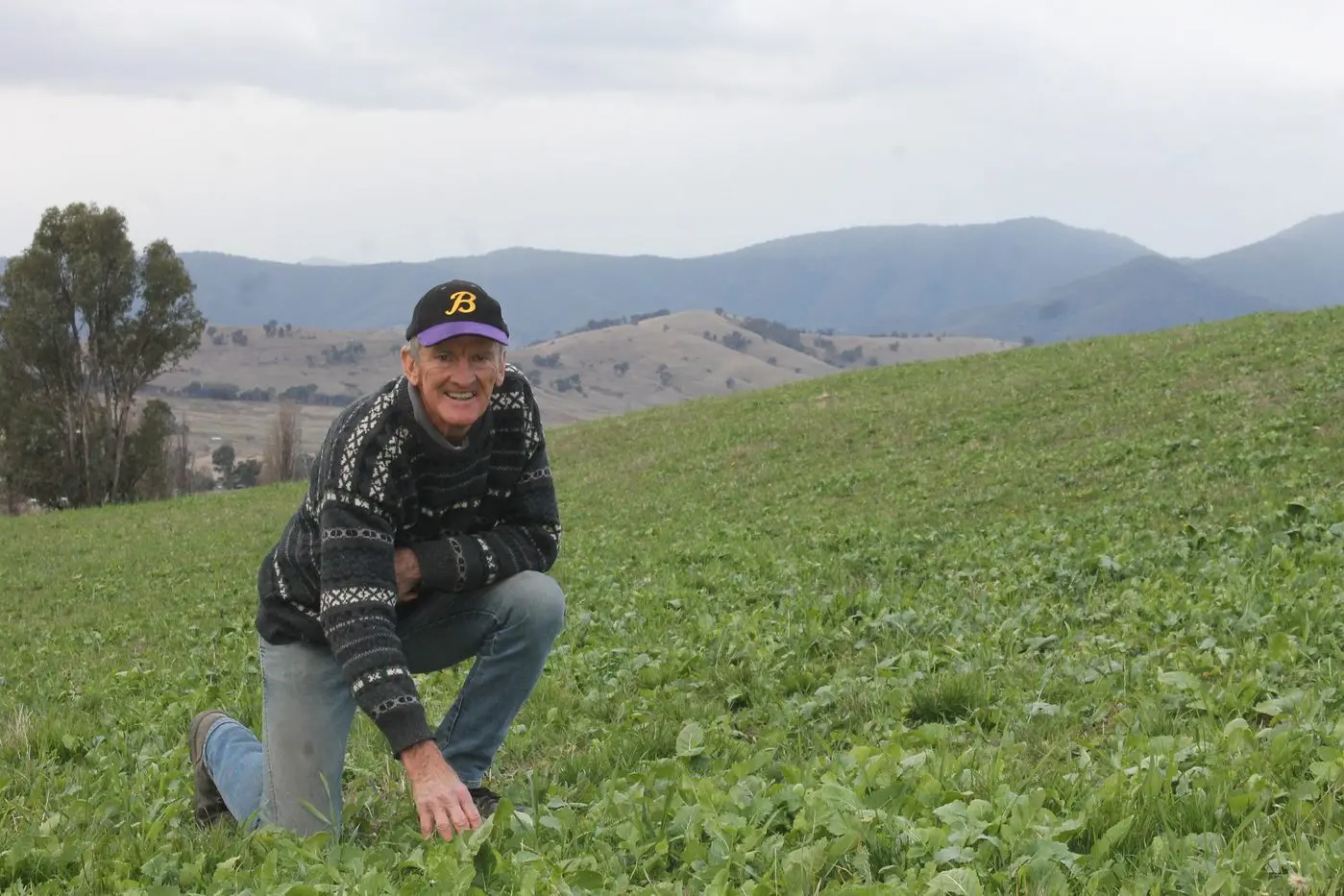 HAPPY FARM: John McEvoy is pleased with the health of his soil and plant diversity thanks to regenerative agriculture farming. PHOTO: Leah Anderson-Byrne