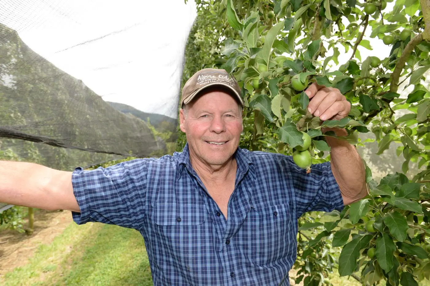 GROWING GOOD: Don Nightingale, of Nightingale\\u2019s Apples, said their fruit set is strong. PHOTO: Brodie Everist 