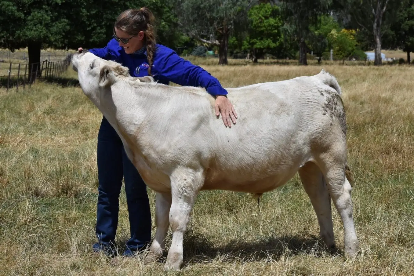 KNOWING WHAT YOU GET: Katie Lewis prides herself on thorough and detailed cattle assessments.
