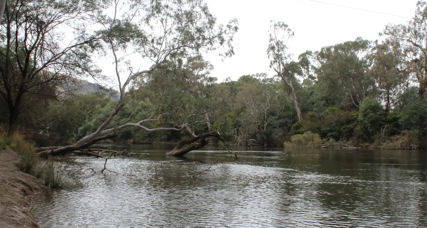 Lack of consultation continues on crown land camping