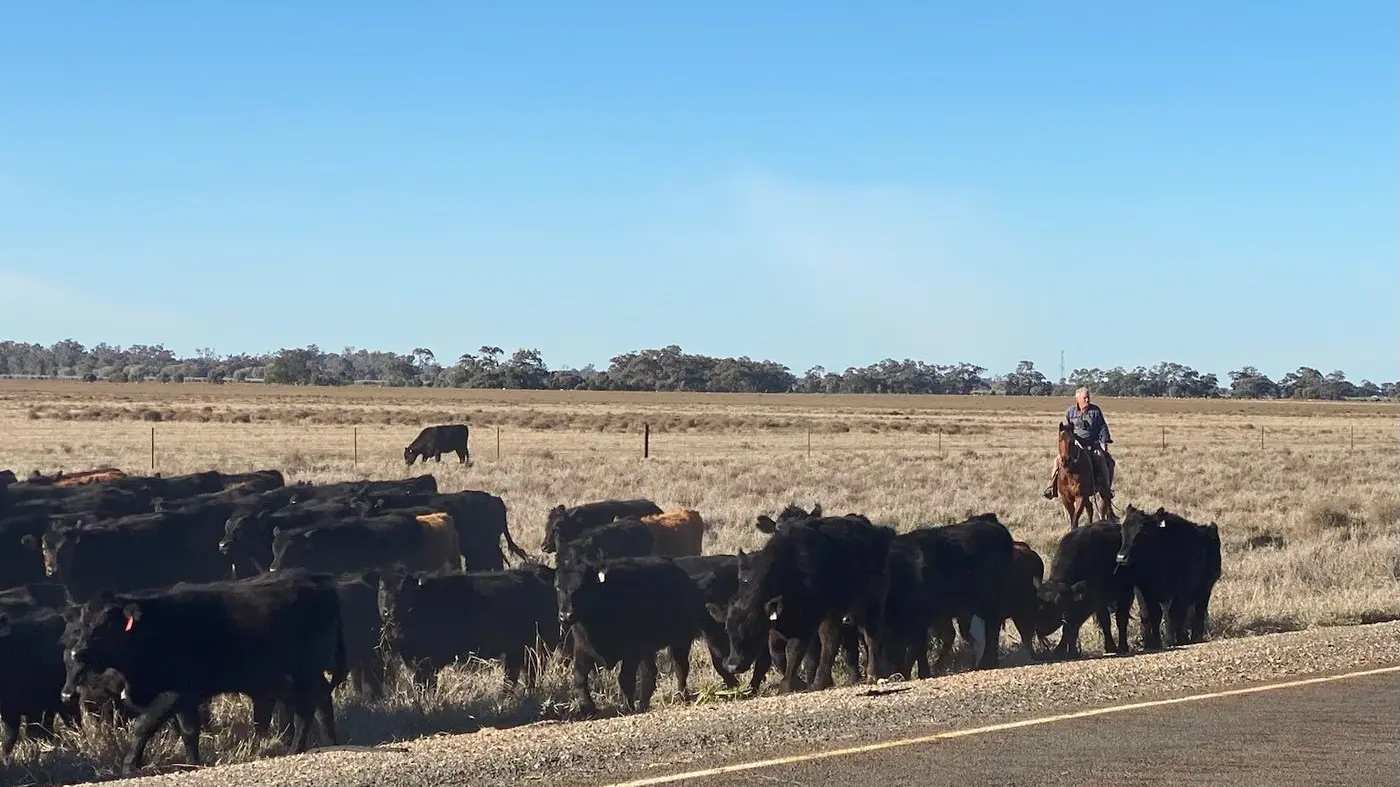 Rod Manning has gone a droving