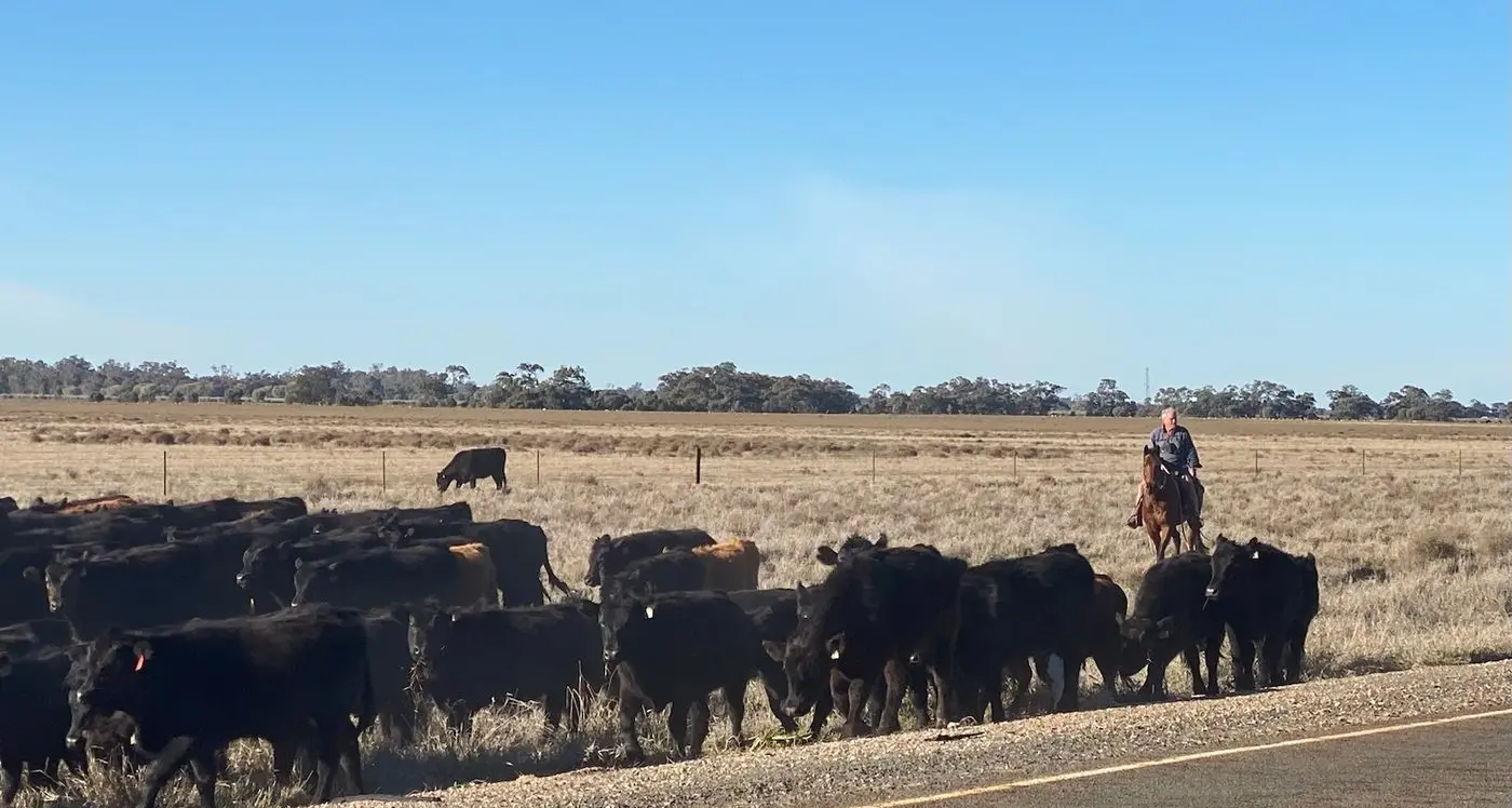 Rod Manning has gone a droving