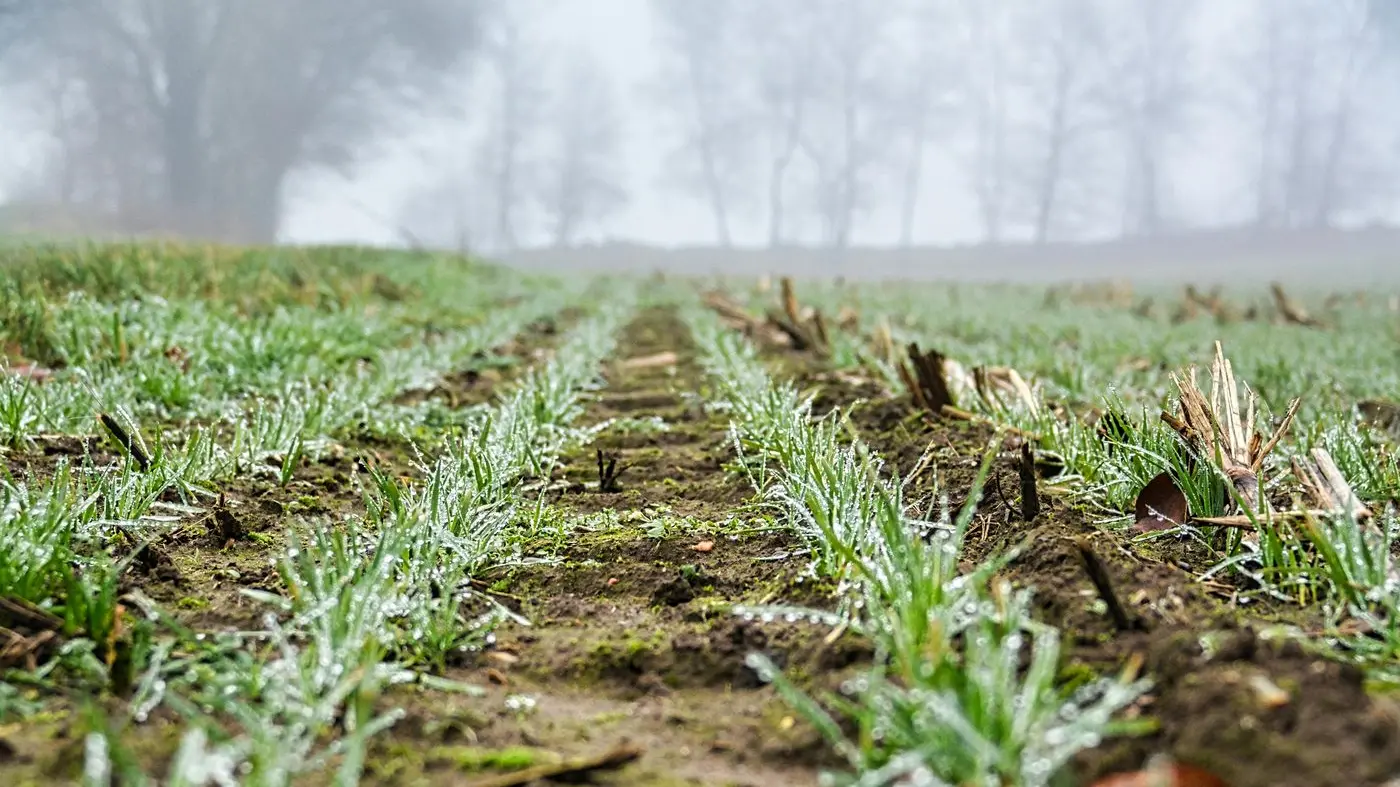 New grants announced to boost smarter irrigation and climate resilience