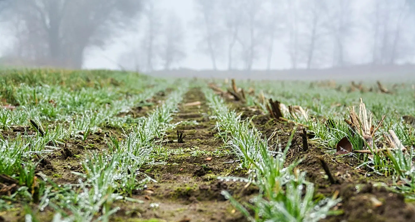 New grants announced to boost smarter irrigation and climate resilience