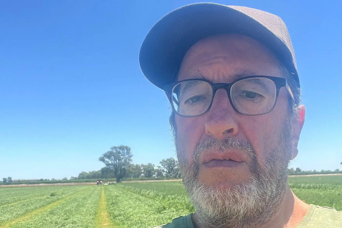 ONLY VIABLE ALTERNATIVE: Zucchini farmer Ross Marsolino has transitioned his Toolamba farm over to lucerne after getting sick of being short-changed by the supermarkets.