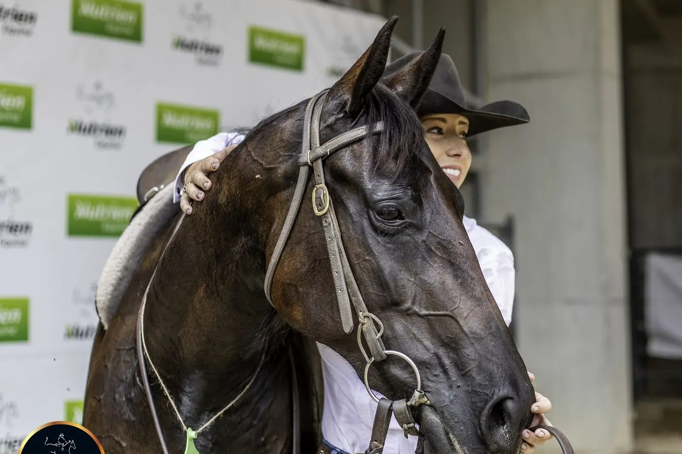 TOPPING THE SALES: Lot 497, Bad in Black sold for $550,000 on account of Holly Clayden from Loomberah Lodge Performance Horses. Id:20290