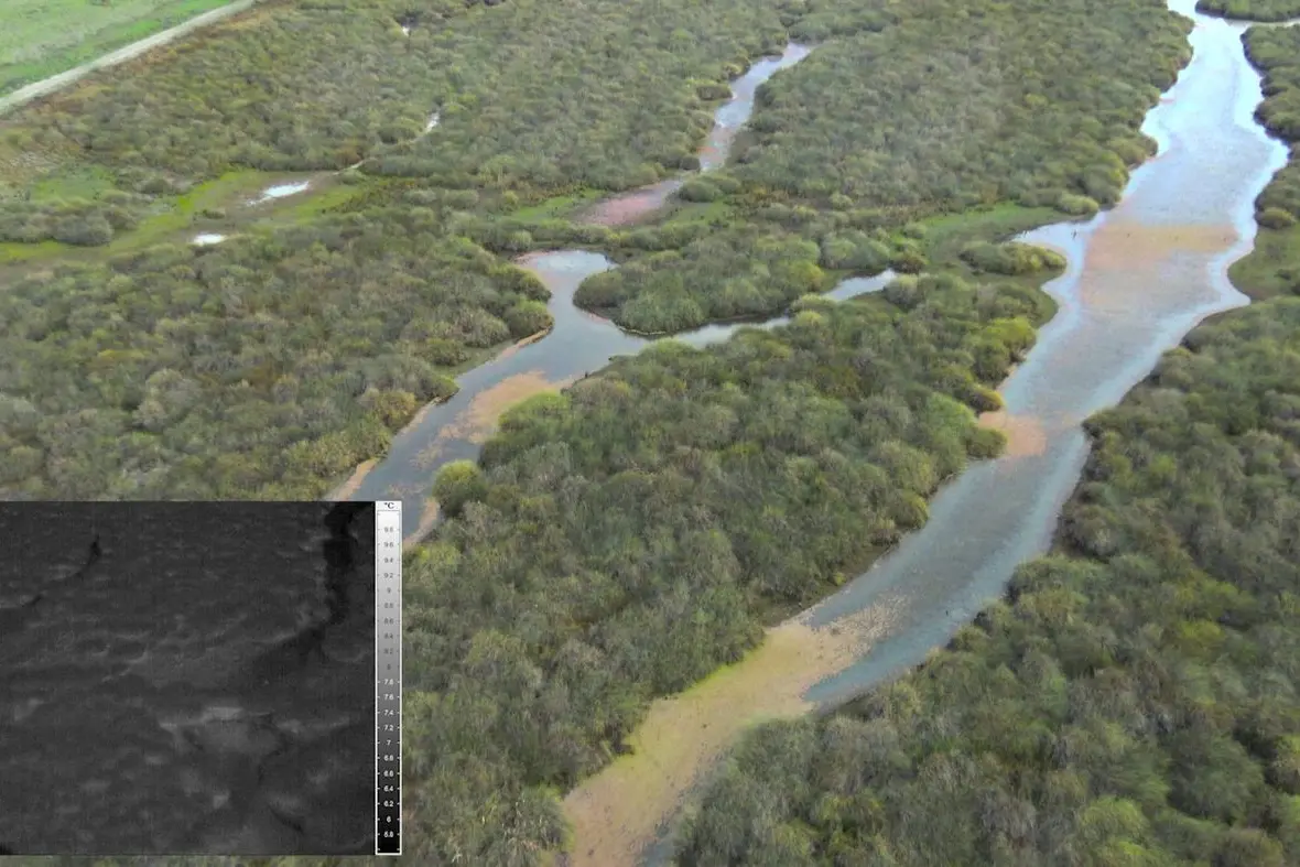 PEST POPULATION: For most parts of Australia, July/August is the best time for surveys using thermal imagery and generally suitable conditions are achieved just after sunrise and before sunset. Id:34584