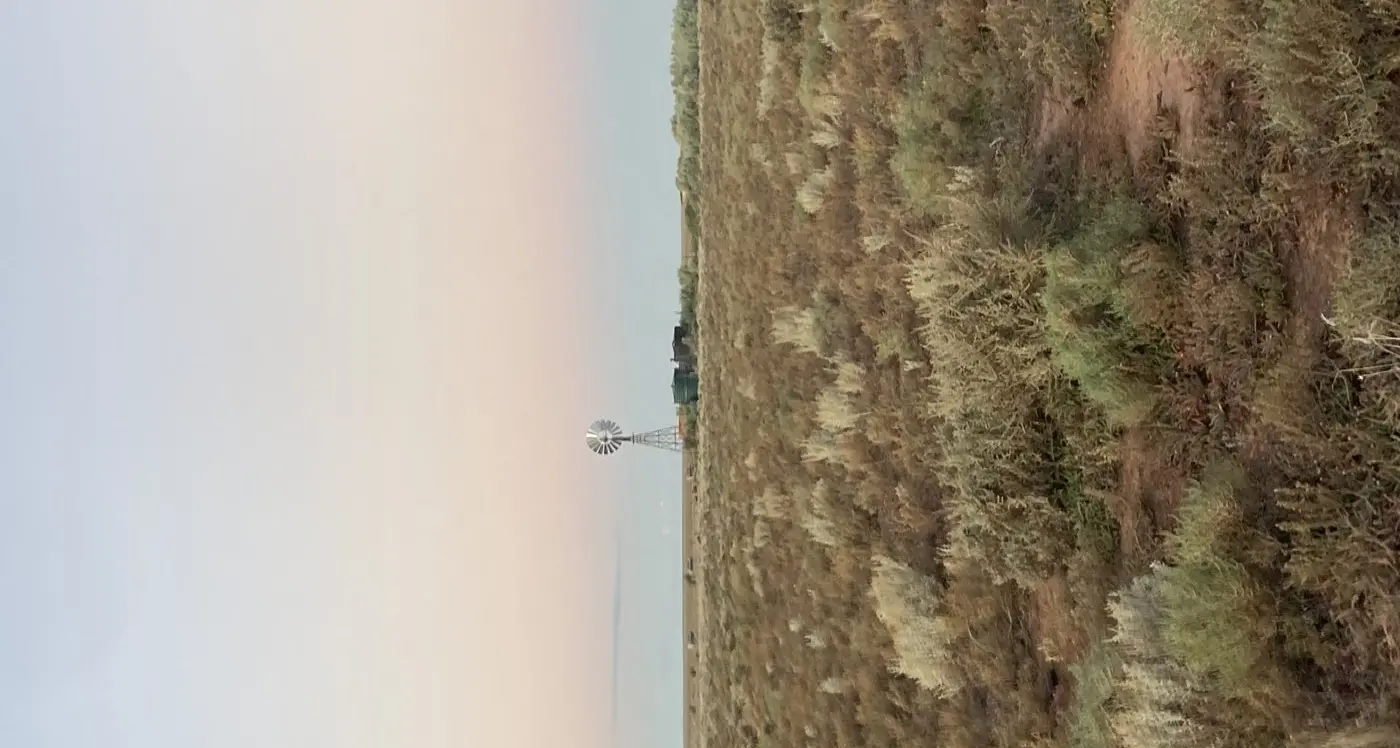 Satellite technology helping pastoralists prepare for drought