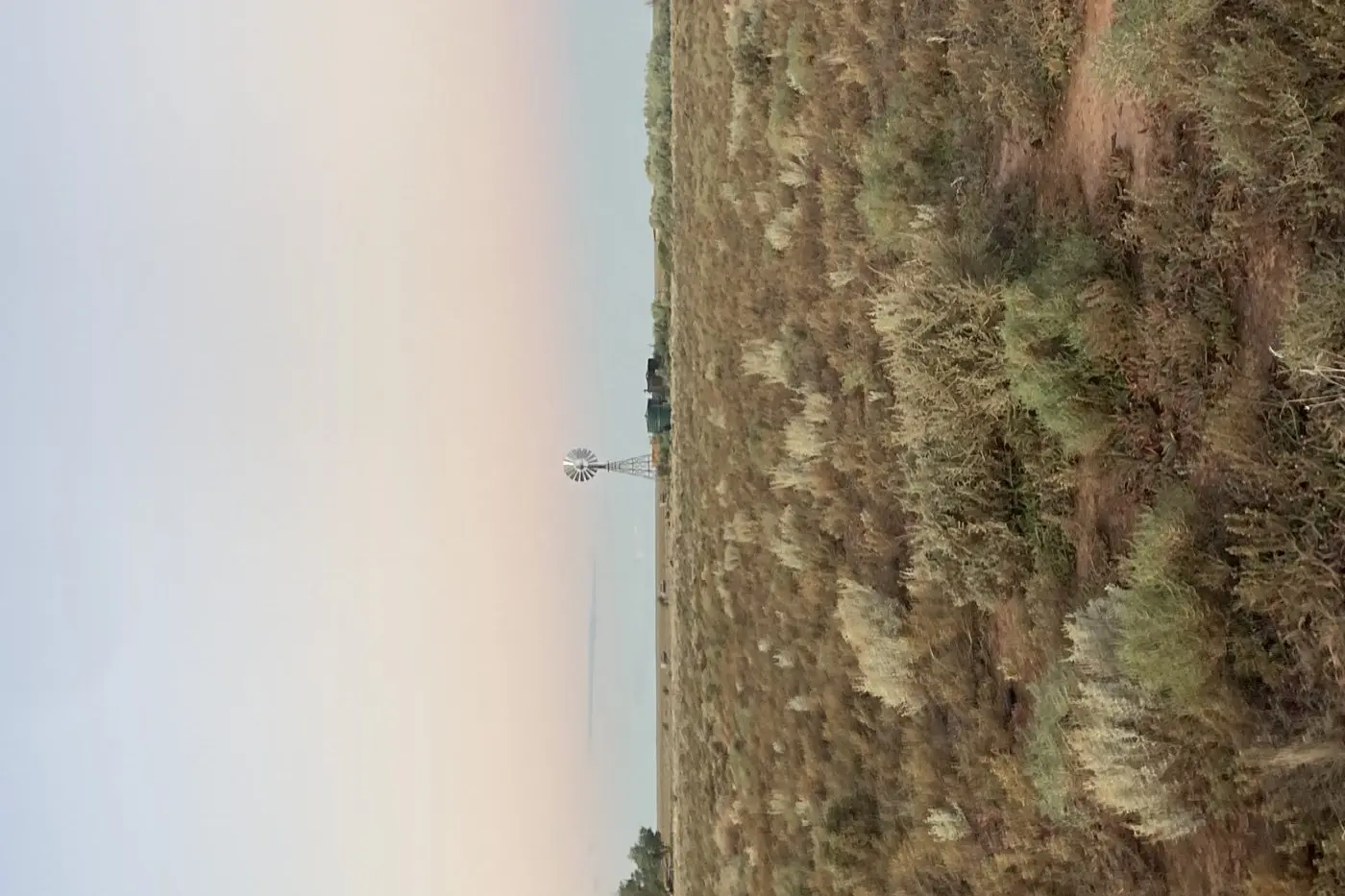 RANGELAND: The pilot took place on \\u2018Curragh\\u2019, a large 130,000-hectare property near Oxley in the Western Riverina owned by pastoralists Bill and Pip Ryan.