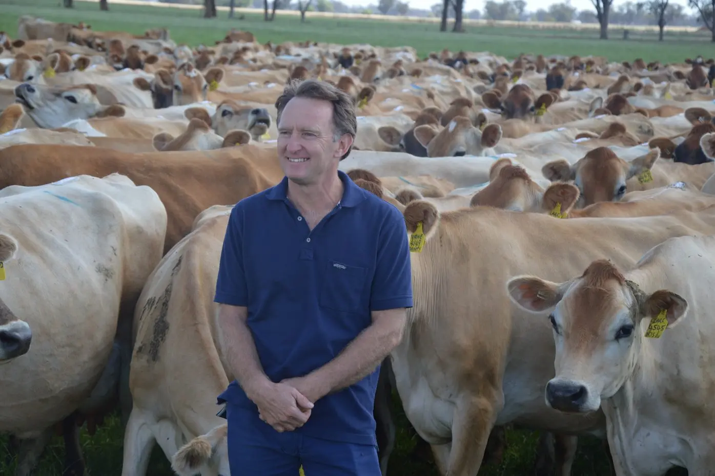 MASTER BREEDER: Tallygaroopna dairy farmer Geoff Akers who runs the Loxleigh Jersey stud has taken on the role as president at Jersey Australia.
