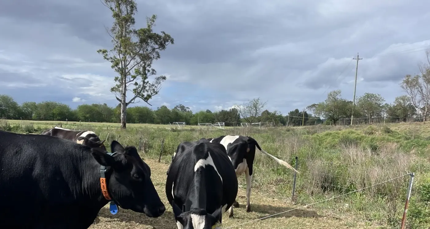 Sensor technologies create new research data sets