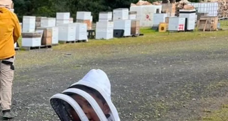 Bee happy breeding queens