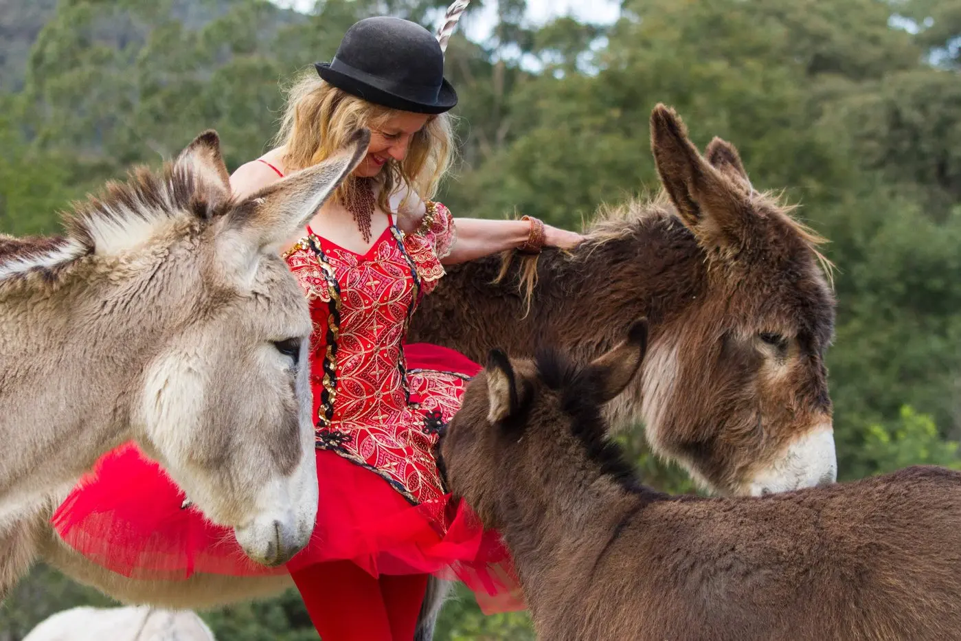 HAPPY DONKEYS: Warburton\\'s Linda Jay has a profound love for donkeys. 