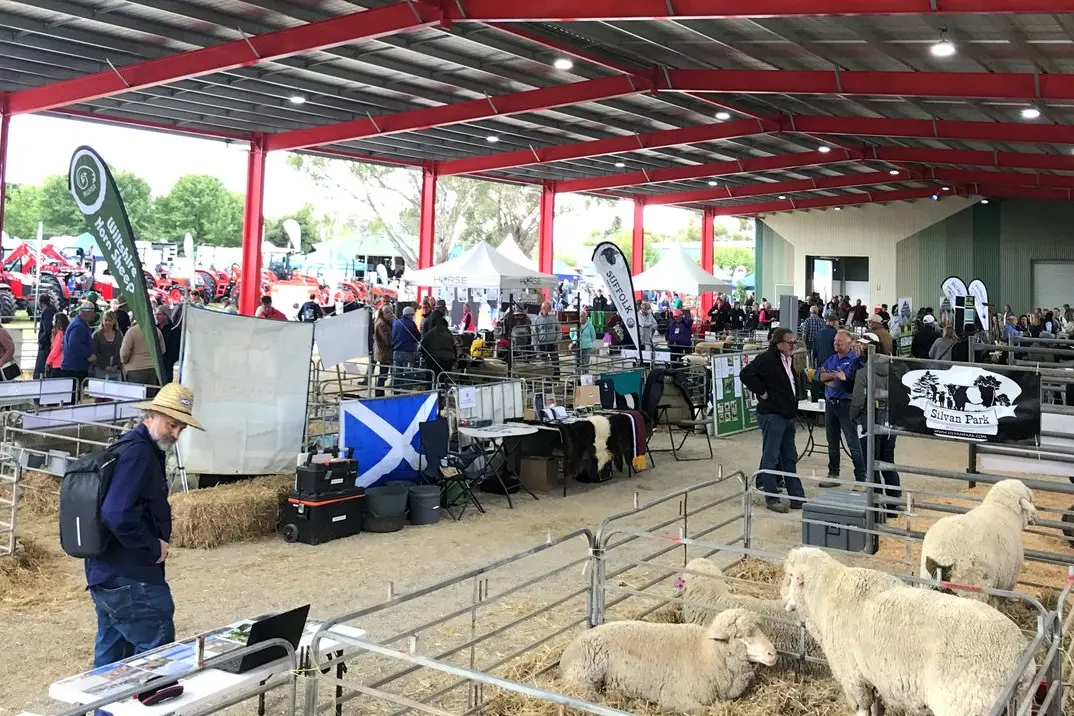 THE BIG SHED: Some of Victoria\\'s best livestock were on display. PHOTOS: Jarrah Loh Id:23524