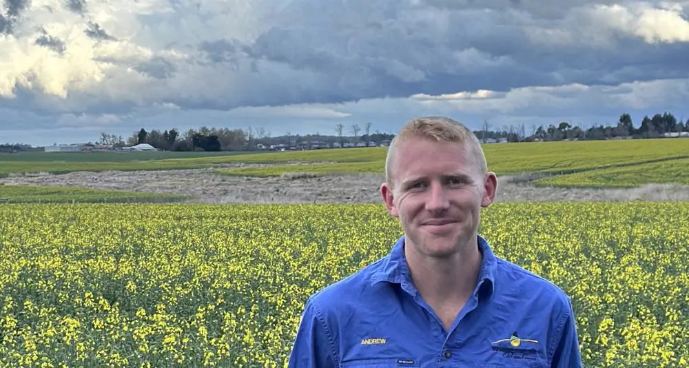 Australian canola fuelling a greener flight path