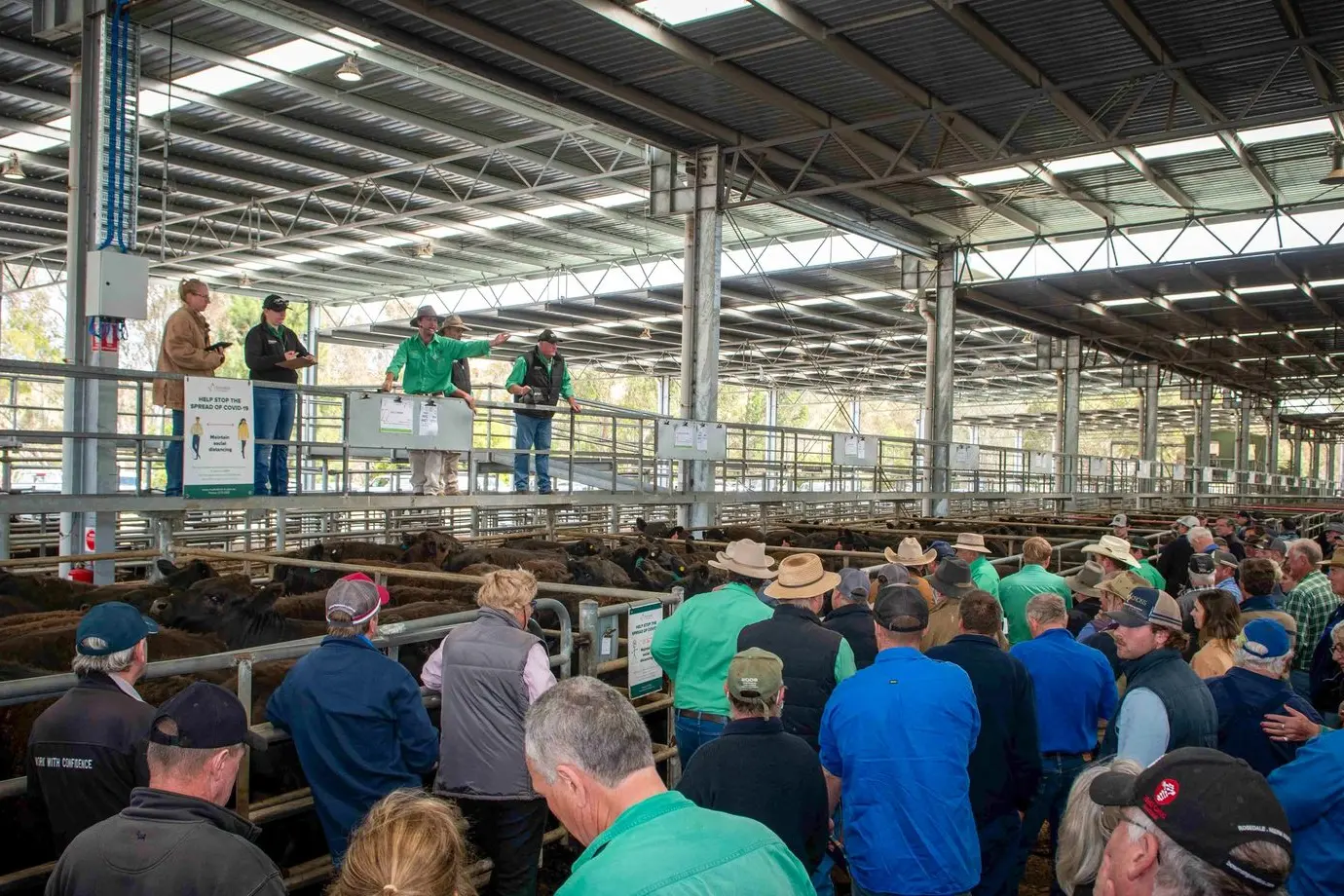 HEALTHY MARKET: Farmers aren\\u2019t only going to Yea market days to check out cattle, they are also able to do their own health checks. PHOTO: Courtesy Yea Saleyards