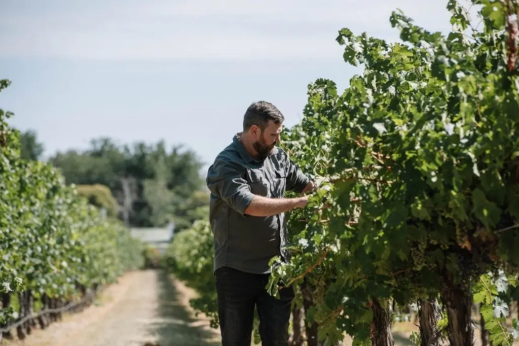 CERTIFIED: All Brown Family Wine Group\\'s vineyard and winery sites are now certified with Sustainable Winegrowing Australia (SWA).