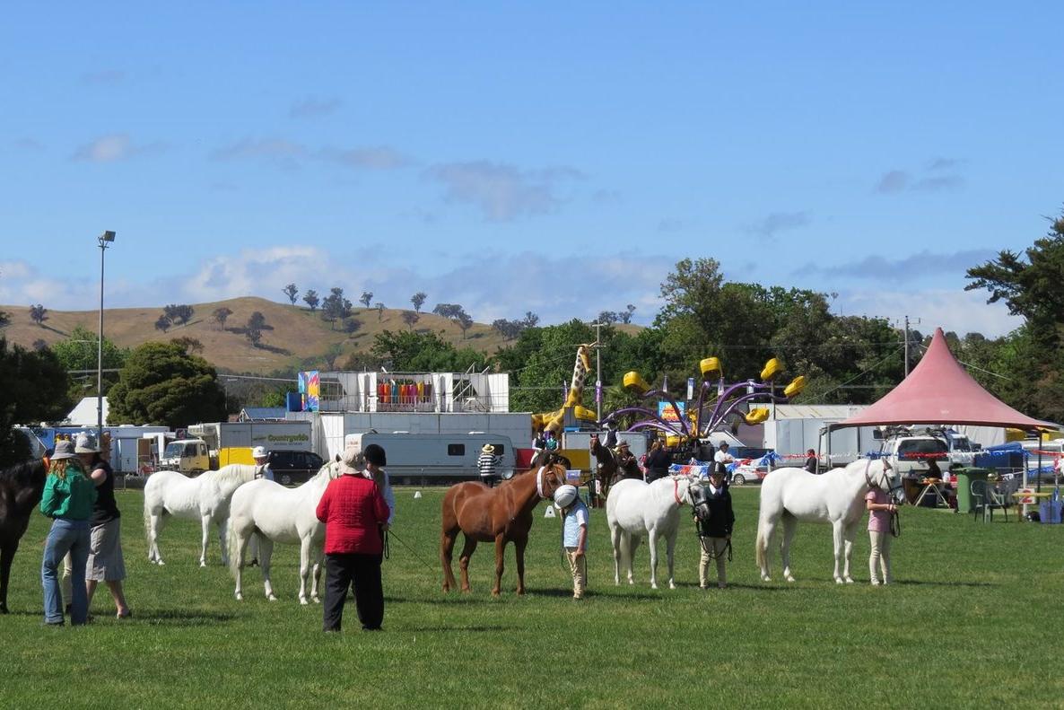 Alexandra show celebrates 150 years of local tradition