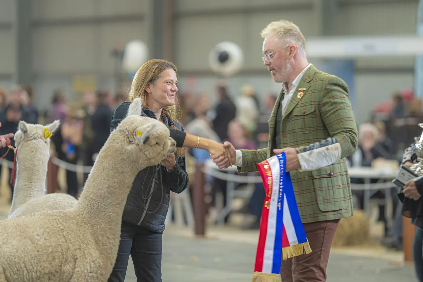 ALPACA SHOW:   \\u2022   8-10 August 2025\\n   \\u2022   Prince of Wales Showgrounds, Bendigo\\n   \\u2022   Free entry \\u2013 no tickets required\\n   \\u2022   Alpaca parades and judging, trade booths, craft and art stalls