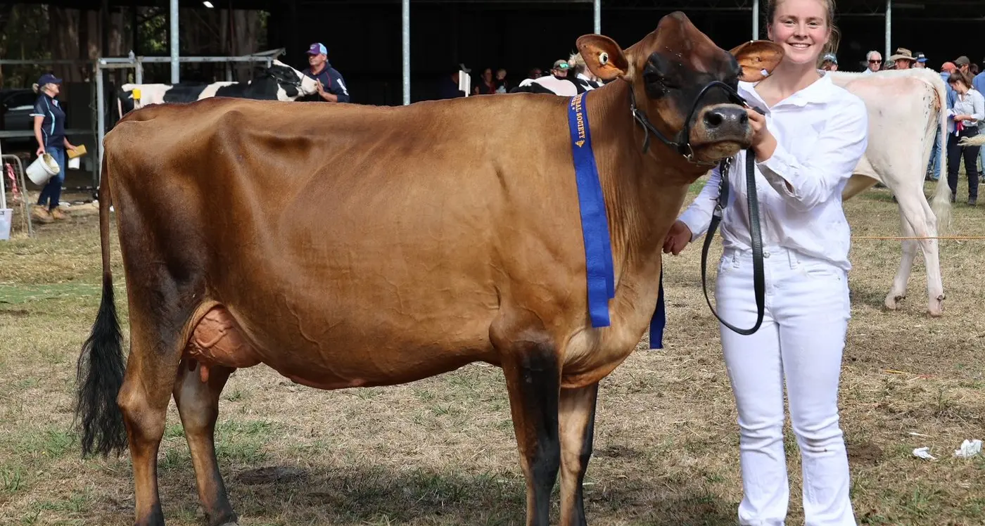 Terang farmers score rare double breed achievement