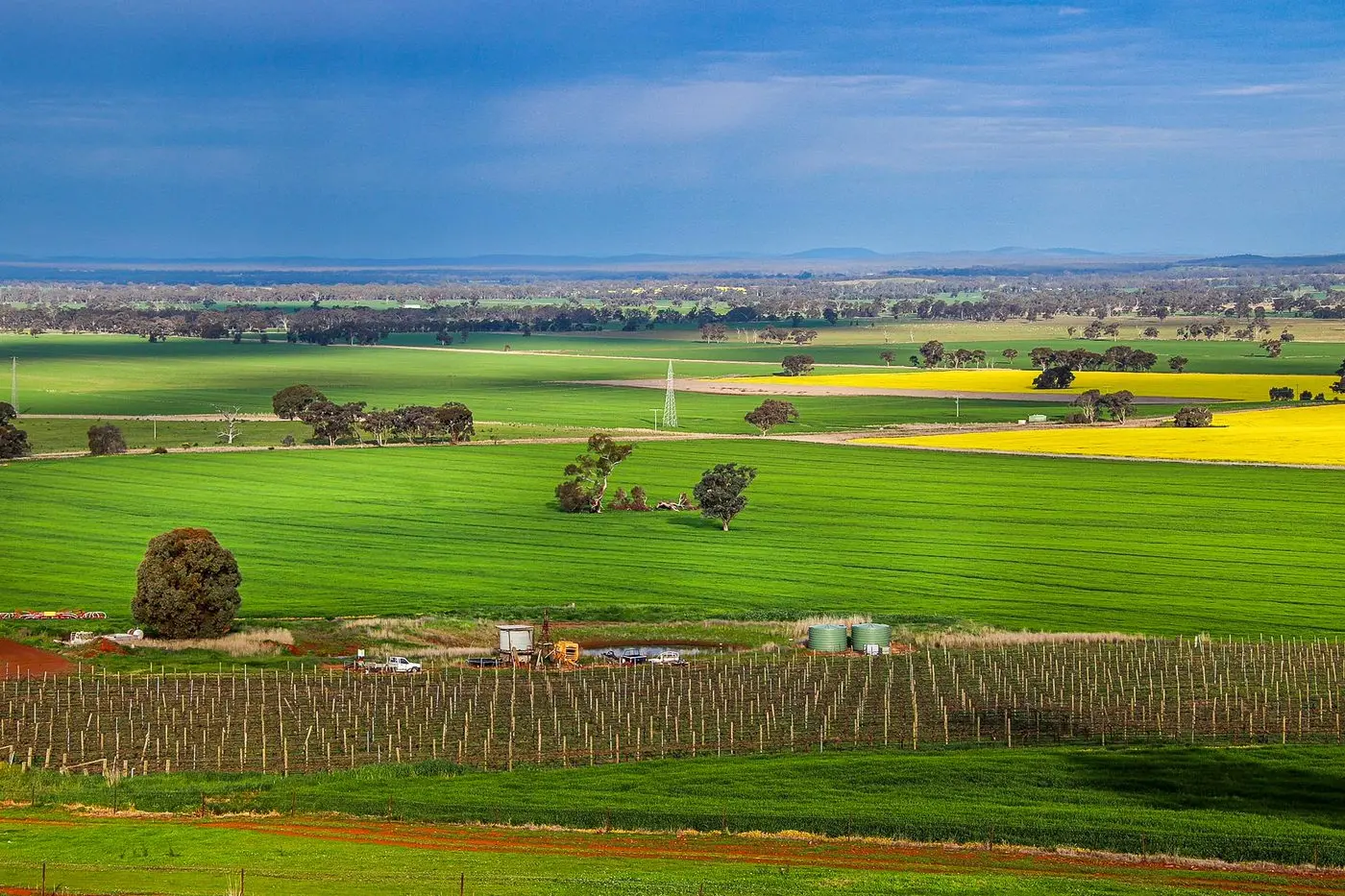 PRIME AGRICULTURAL LAND: Vineyards and wineries surround the proposed Cooba Solar Farm, with concerns the project will impact surrounding operations.