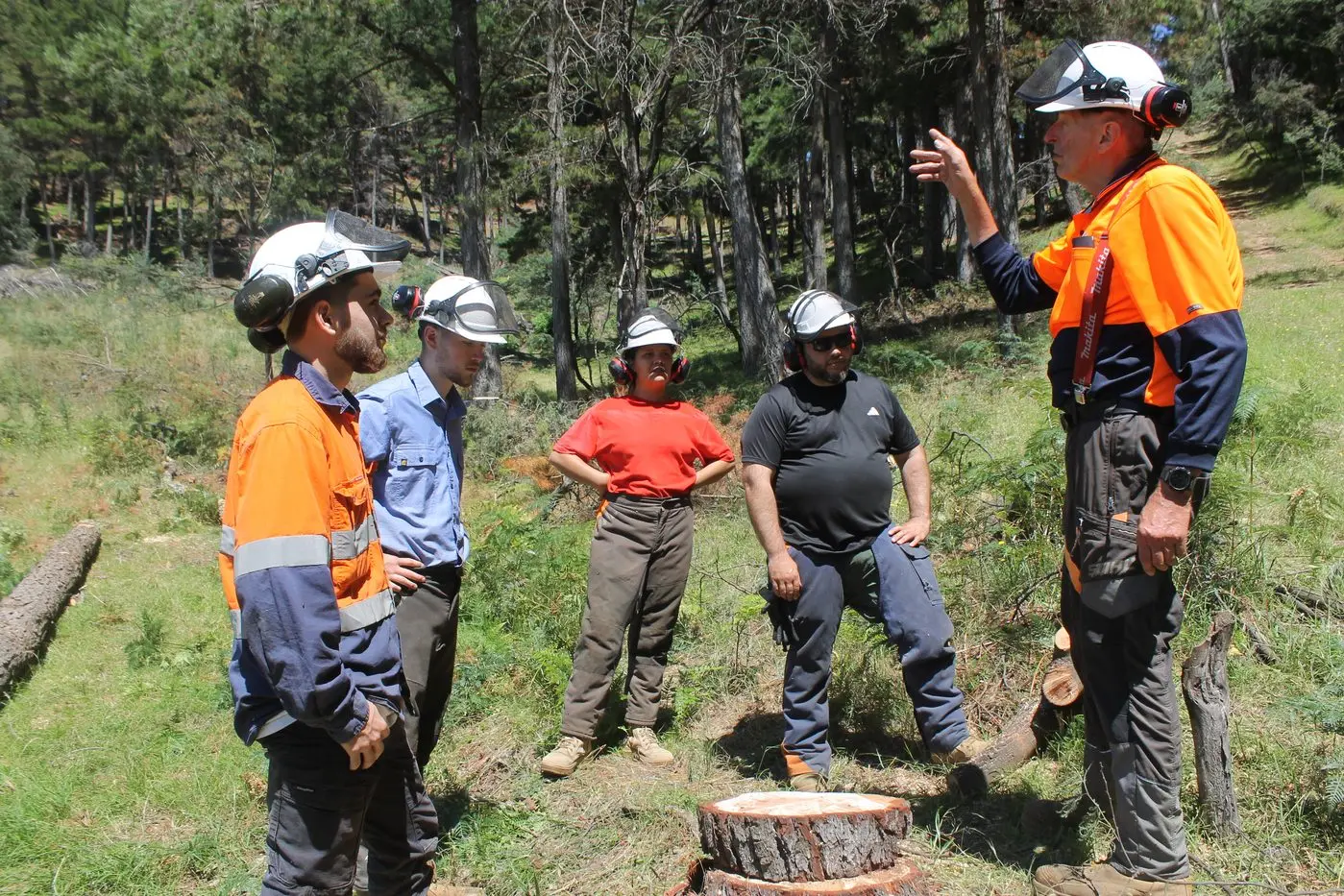 FUTURE FORESTERS: (from left) Peter Logan, Jesse Zukanovic, Danielle Mullins and Craig Terrick listen to teacher, Ralf Boyke detail the difference in treeplanting methods over the years.