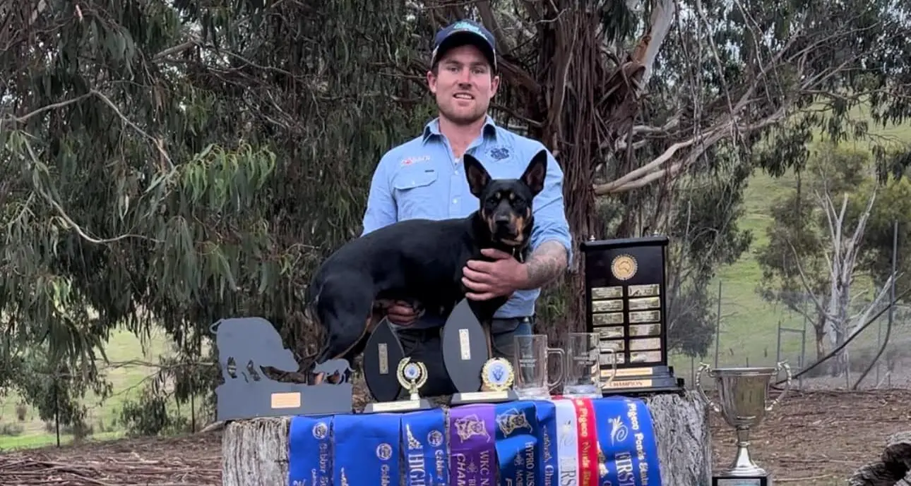 Once in a lifetime achievement for Mansfield duo