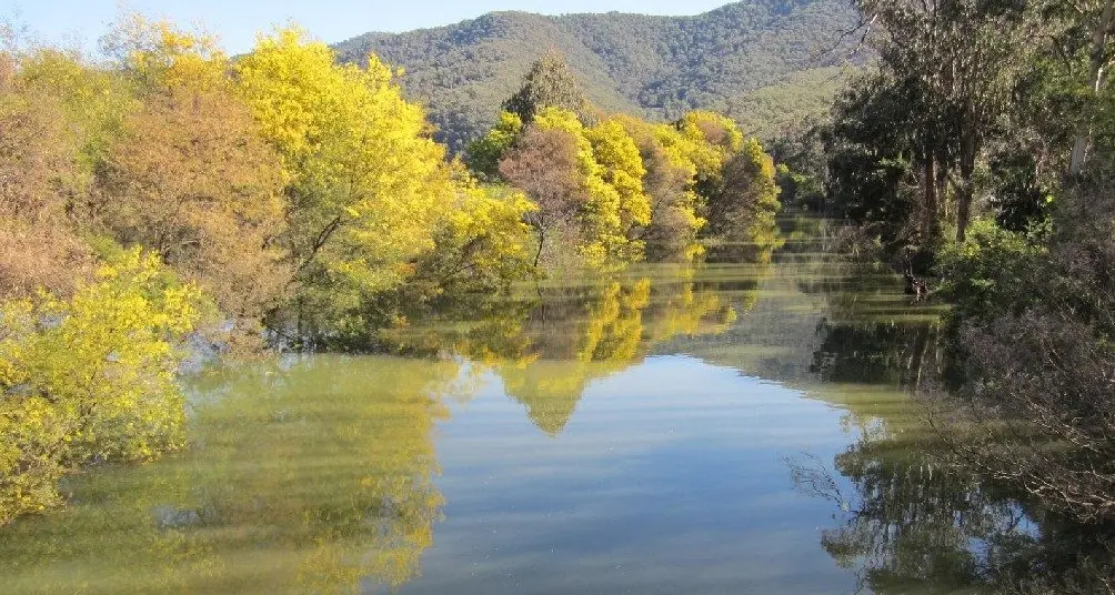 New Healthy Rivers grants flowing across North East Victoria