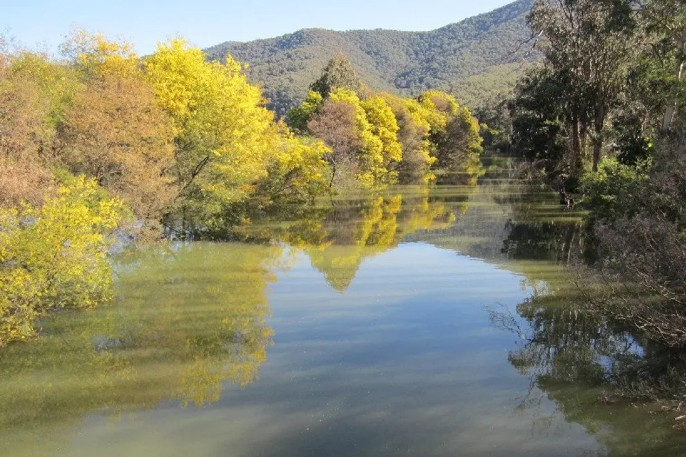 HEALTHY RIVERS: Grants will support on\\u2013ground action and care for local waterways in the region. Id:20027