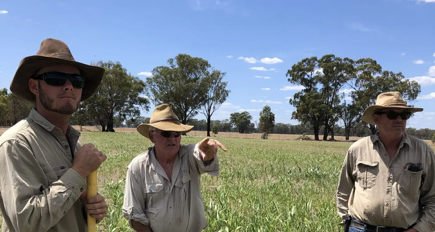 Local soils under the microscope