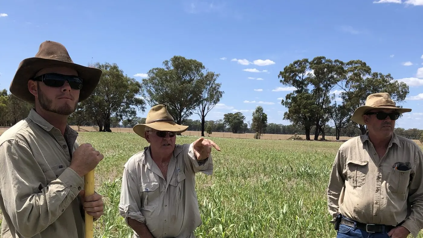 Local soils under the microscope