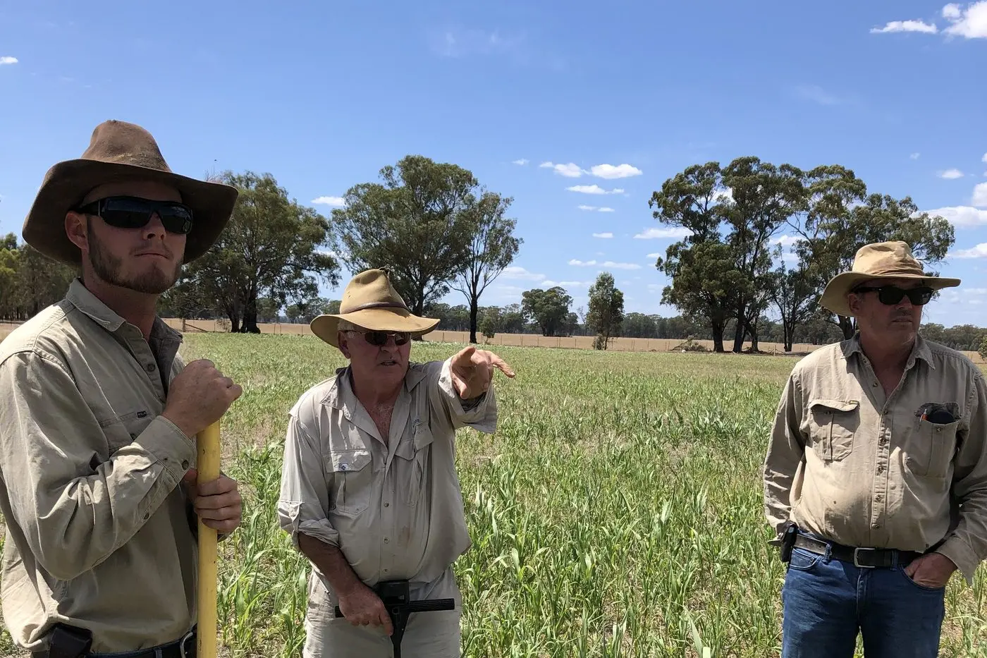 SOIL EXPERT: Phill Lee (centre) in the paddock talking soil health.