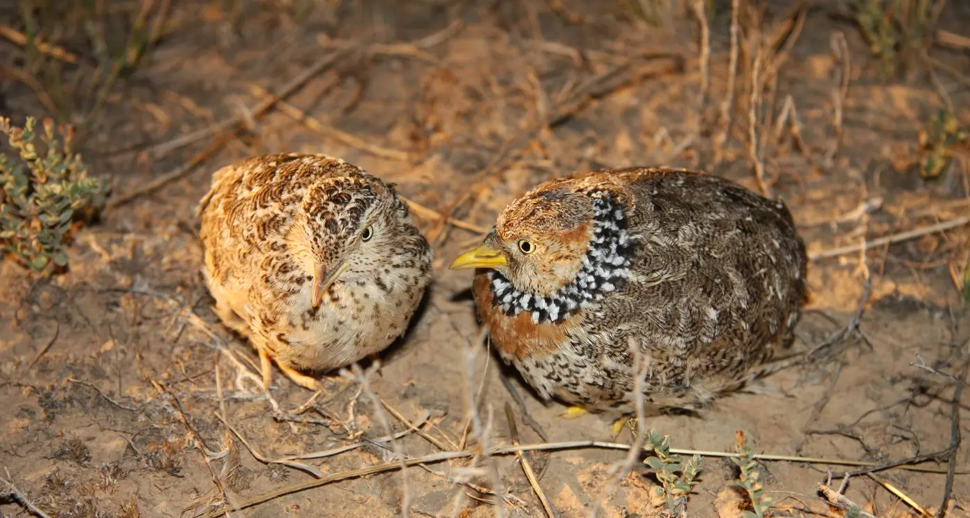 2700ha of habitat for threatened species legally protected by Victorians