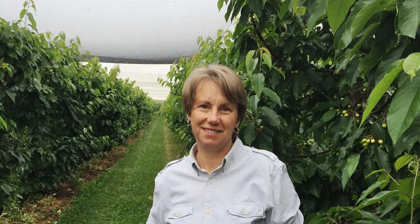 Churchill Fellowship encourages applications