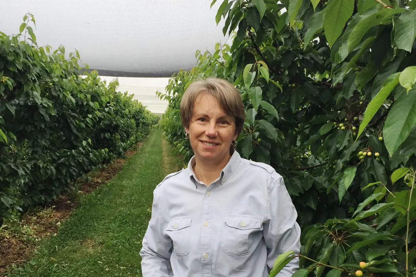 PAST RECIPIENT: A rural journalist for 30 years, Sally Dakis operates a cherry and peony farm in the Coal River Valley. She travelled to Singapore, the United States and Europe to explore value adding and marketing of niche and bulk cherry products in the food processing industry. Id:20514