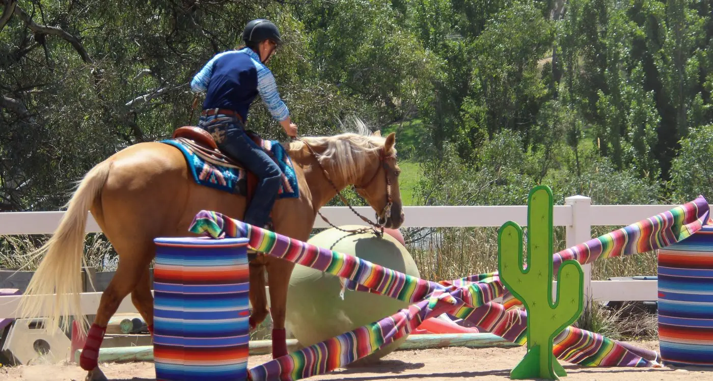 Obstacle challenge tests horse and rider