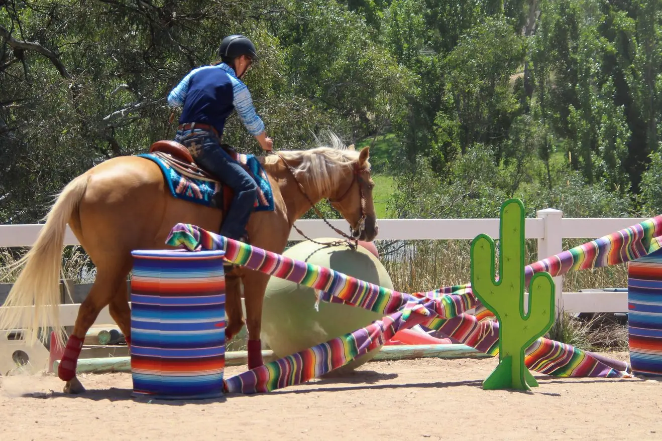 MOSEY ON: Anne Smyth and Bailey from Benalla push through this challenge. PHOTO: Lynn Elder